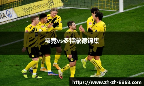 8868体育官网入口