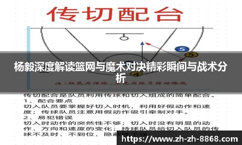 杨毅深度解读篮网与魔术对决精彩瞬间与战术分析